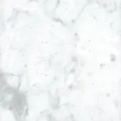FM01-POLISHED WHITE CARRARA